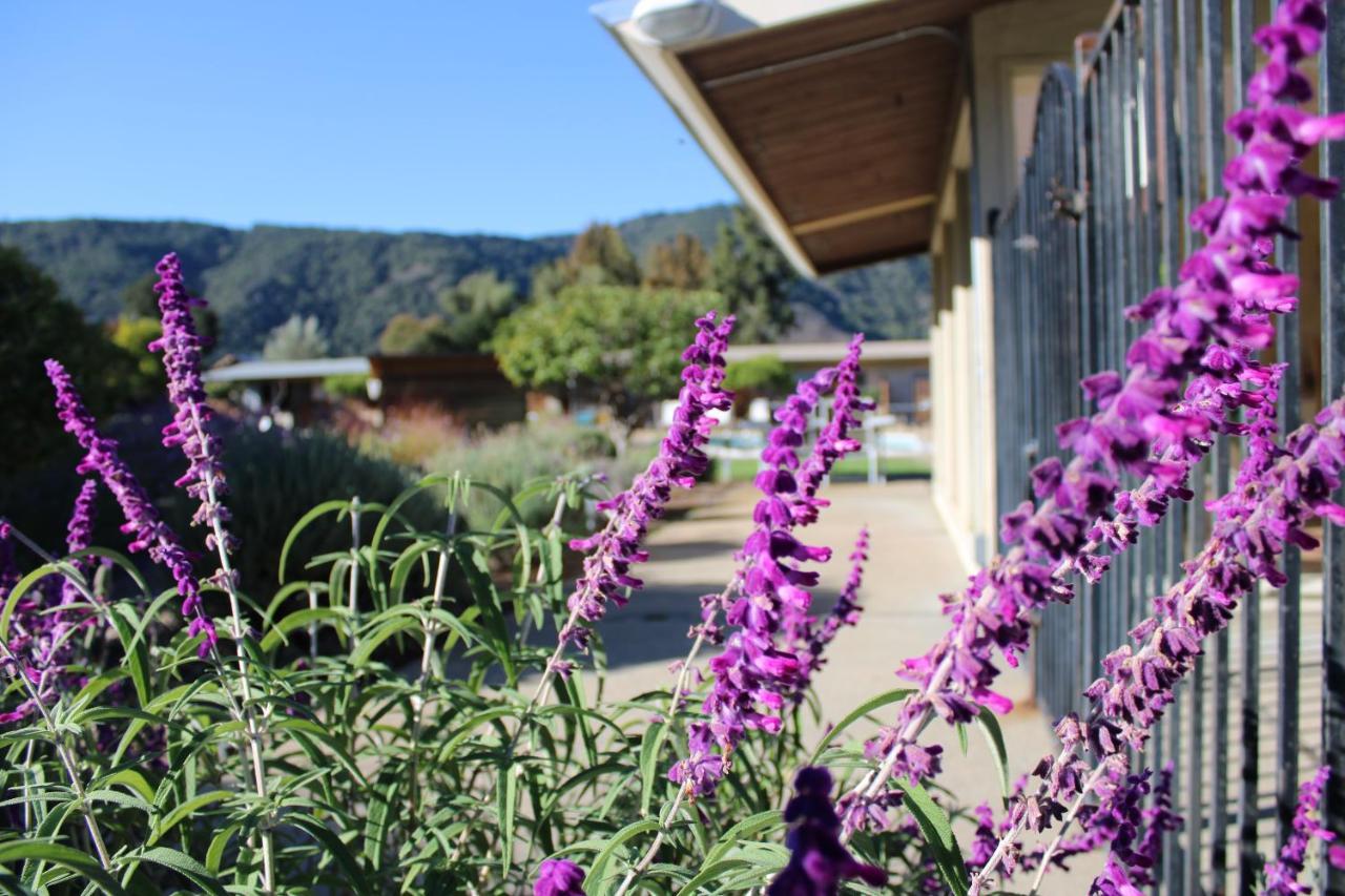 Contenta Inn Carmel Valley Exterior foto